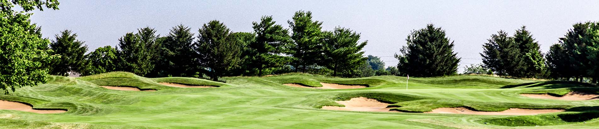 Image of golf ball on tee on grass.